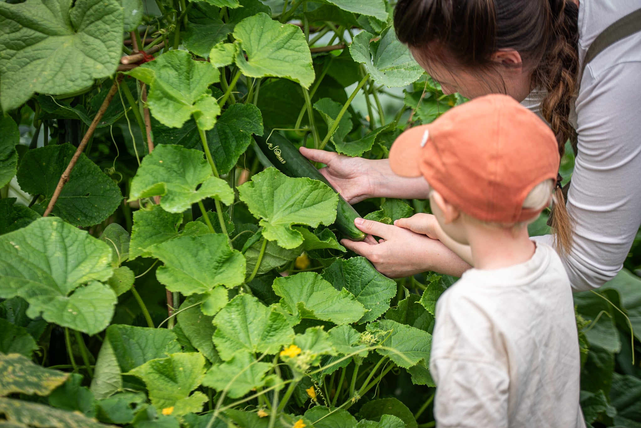 Make magic with your Kids